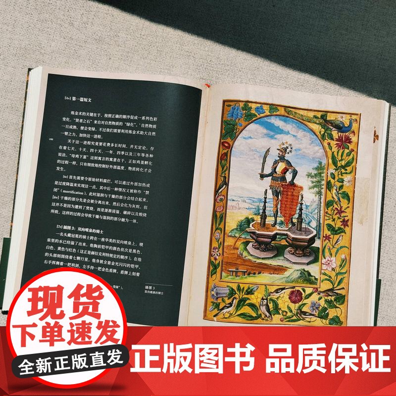 日之光芒:世上最著名的炼金术抄本 甲骨文丛书 李岩 译 社会科学文献出版社 9787522834115高清大图