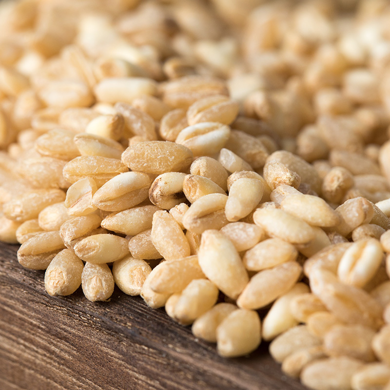 盛耳大麦米500gx2大麦米粗粮五谷杂粮煮粥饭农家去皮大麦仁杂粮