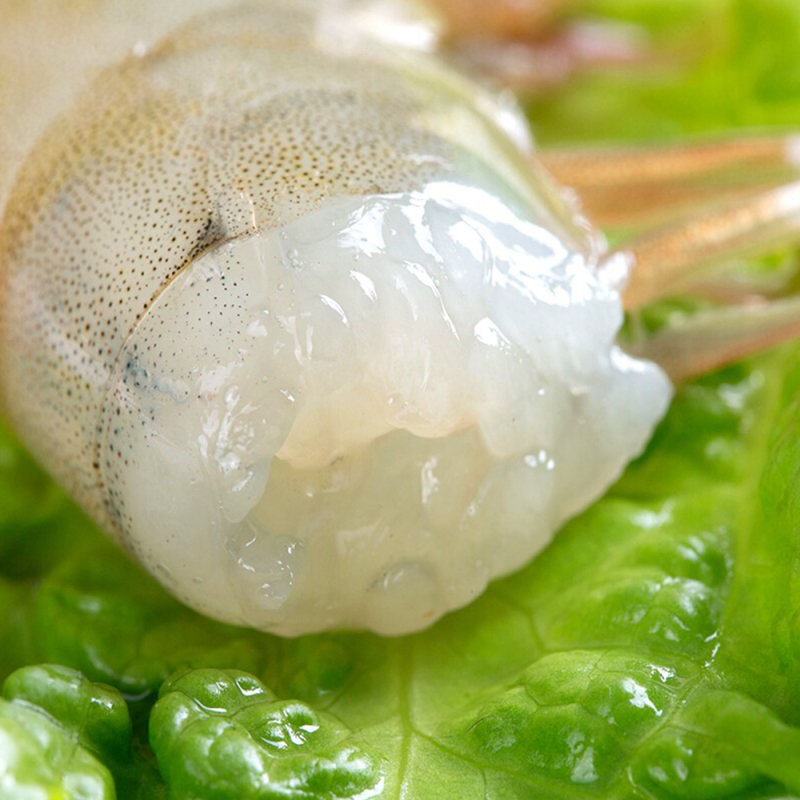 好拾味 特大号盐冻白虾1.5kg (30-45只) 单只单冻对虾生鲜虾类 海鲜烧烤食材