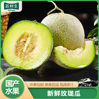 [苏鲜生]新鲜玫珑瓜 带箱3斤装 1个 箱装 当季热卖 新鲜水果 苏鲜生1