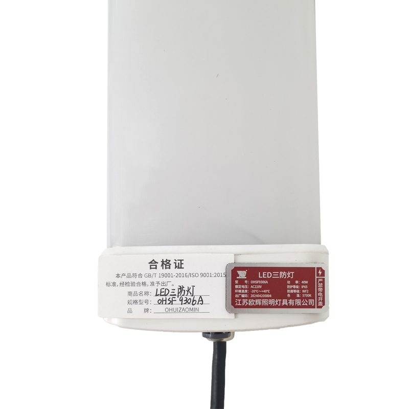 欧辉照明 (OHUIZAOMIN) LED三防灯 OHSF9306A 个