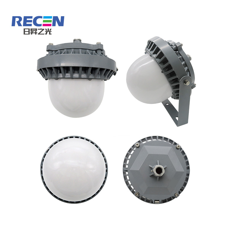 RECEN RGPL229-100W 固定式LED灯具 个高清大图