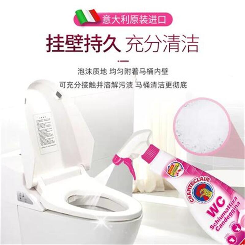 大公鸡管家马桶清洁剂(除垢)625ml*2高清大图