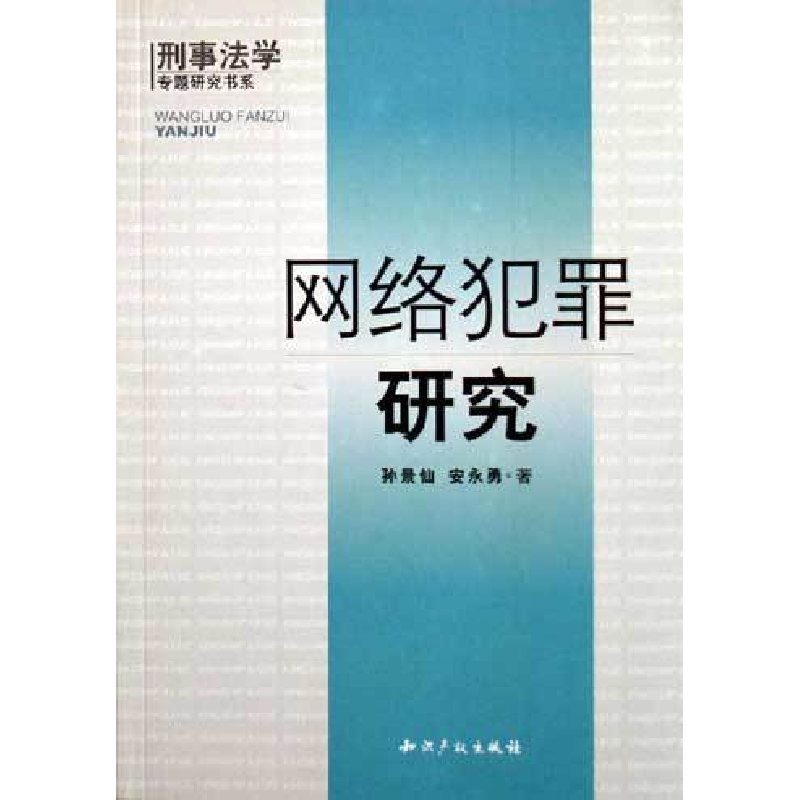 正版新书】网络犯罪研究孙景仙9787801984920