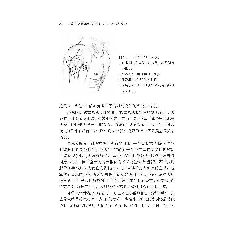 醉染图书肌骨系统临床检查手册:方法、体征与症状9787543342163高清大图