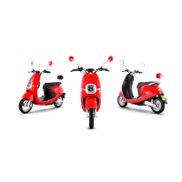 新日(sunra)电动车 灵动系列 病例 60V20Ah 亮光丝绸绿
