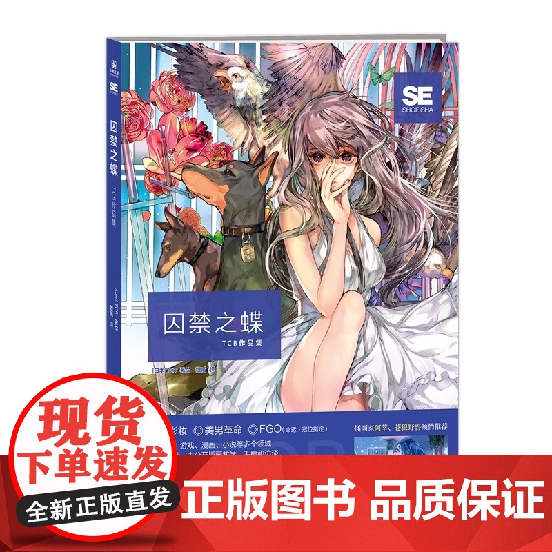 正版 囚禁之蝶:TCB作品集 虚拟偶像艾克·伊芙兰设计者TCB初画集 童话彩妆 美男革命公开秘藏化妆解说 日本插画集 力高清大图