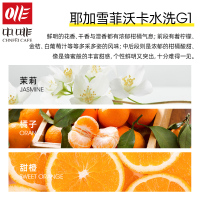 中啡（ZHONGFEI）耶加雪菲沃卡水洗G1咖啡豆 新鲜烘焙手冲单品可磨粉250g