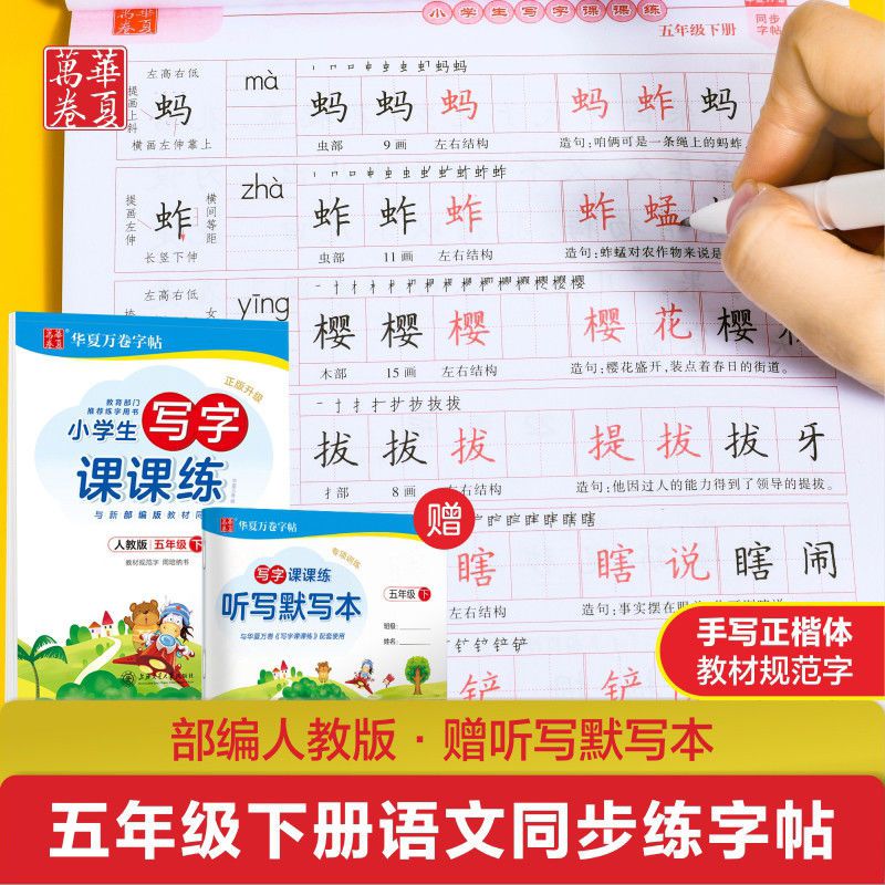 小学生部编五年级上下册人教版字帖硬笔钢笔临摹练字本正楷练字帖 习字帖五年级上册