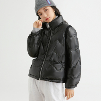 雅鹿羽绒服女短款时尚纯色立领白鸭绒2020新款面包派克服外套潮K