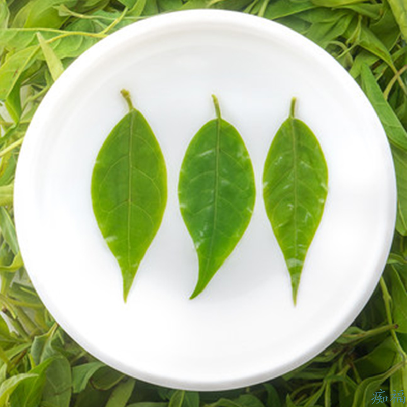 痴福 小叶苦丁茶叶小苦丁茶新茶峨眉青山绿水遇水复活散装罐装高清大图