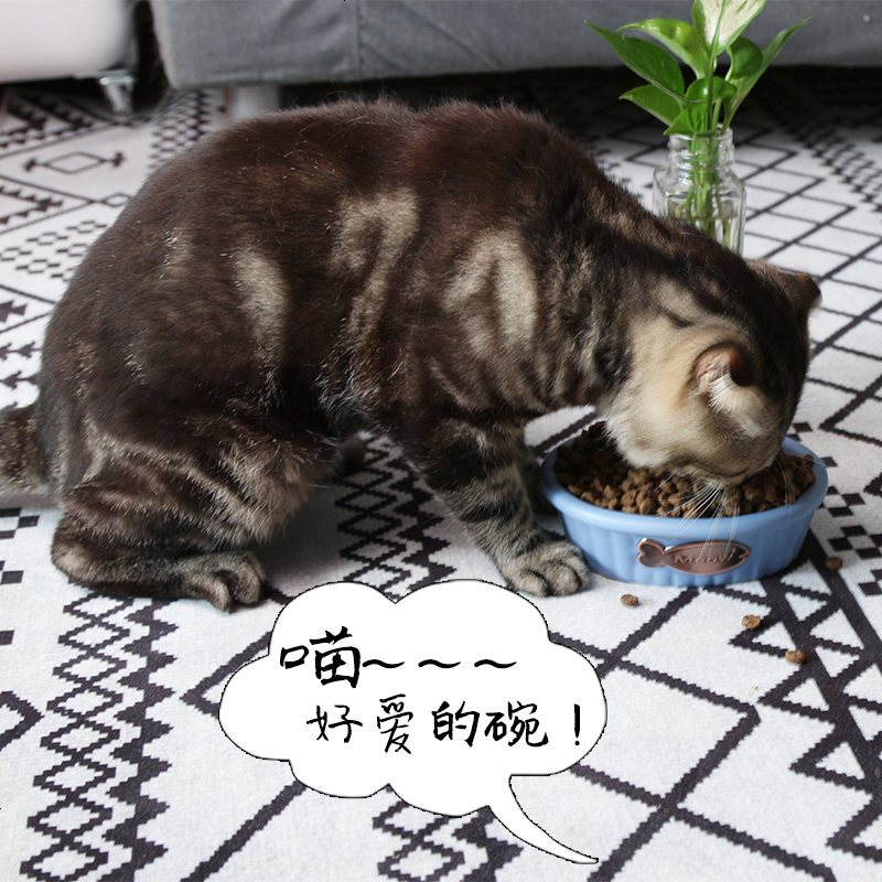 卡哇伊哒猫咪狗狗宠物碗 猫咪食盆 宠物猫咪陶瓷碗 方形小鱼干碗