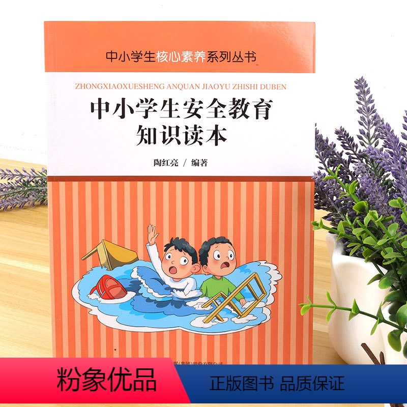 [正版] 中小学生核心素养系列丛书-中小学生安全教育知识读本 居家安全 校园安全 出行安全 公共安全 网络安全 自然灾