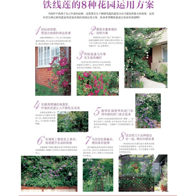 [醉染正版]铁线莲号 花园MOOK 日本园艺杂志花卉园艺植物栽培技术入门园艺书籍大全庭院花卉植物绿化绿植盆栽造景设计花卉高清大图