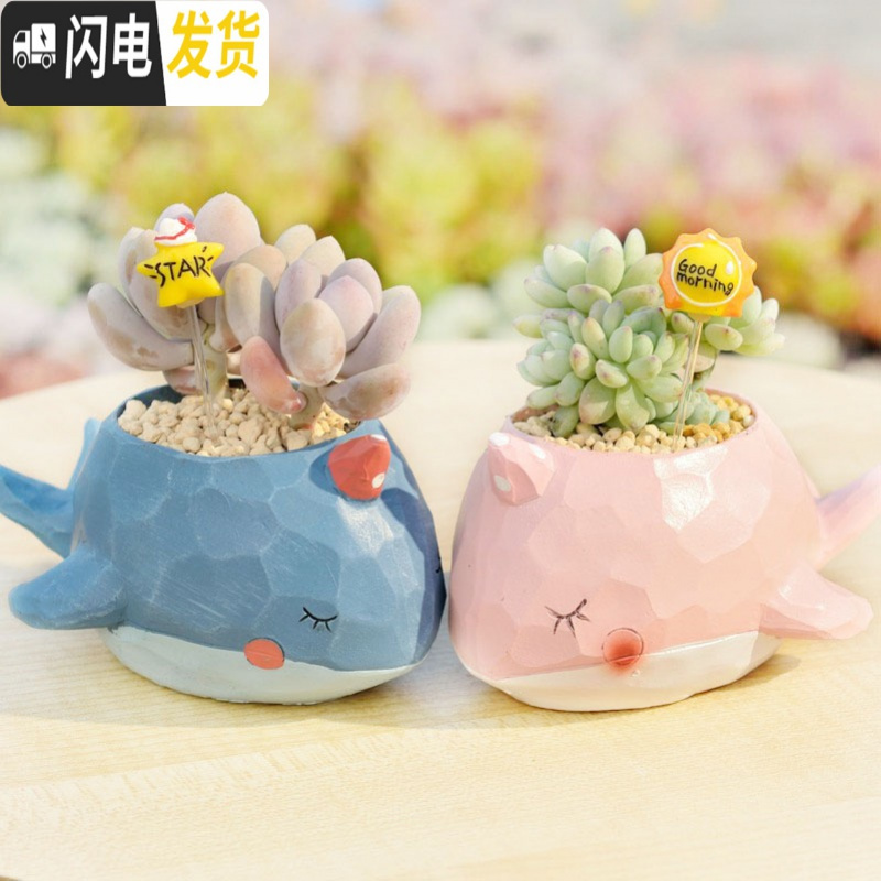 三维工匠zakka田园多肉花盆可爱卡通动物花盆鲸鱼花园派对创意小花盆套餐 粉红色鲸鱼岛樱粉单盆 小花盆容器