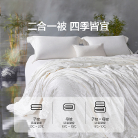 LOVO乐蜗家纺蚕丝被子被芯夏凉被空调被蚕丝夏被春秋被单双人被子被芯