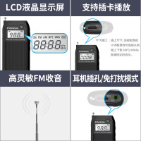 熊猫(PANDA)6203小型立体声充电插卡听戏收音机迷你便携老人袖珍随身听插卡音箱 白色