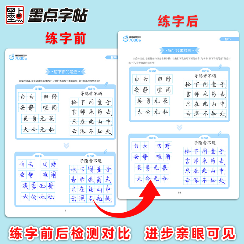 [全3册]楷书入门训练 [正版]荆霄鹏楷书行楷字帖通用规范汉字7000字常用字楷体字帖初学者硬笔书法教程初中生高中生成人高清大图