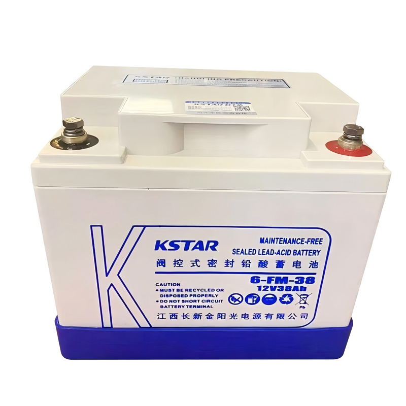 科士达UPS蓄电池 6-FM-38(12V38AH)阀控式免维护铅酸电池高清大图