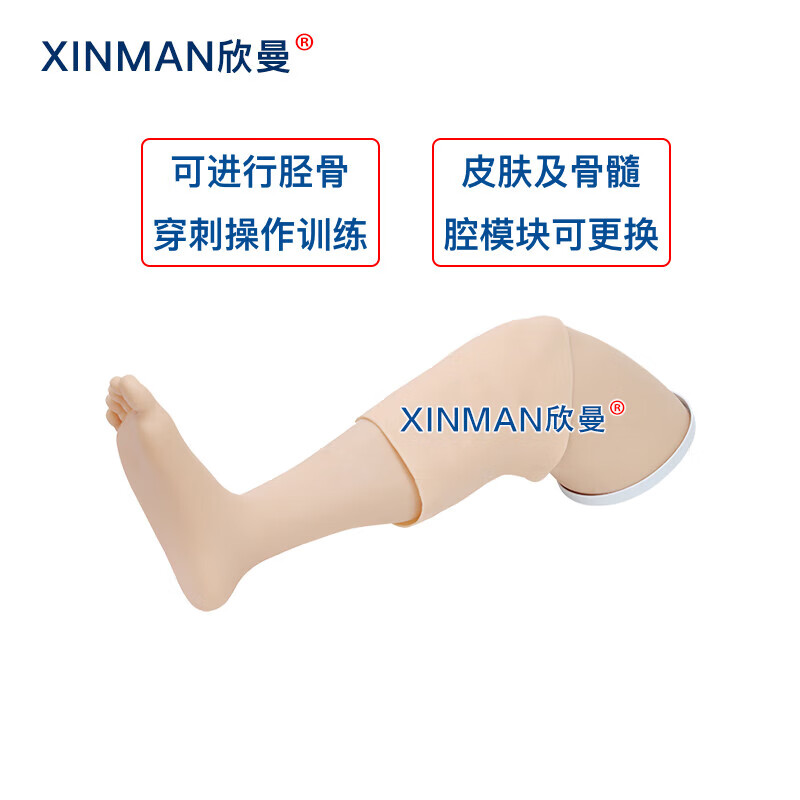 欣曼科教 胫骨穿刺模拟训练模块 骨髓腔穿刺输液训练模型XM-GC4高清大图