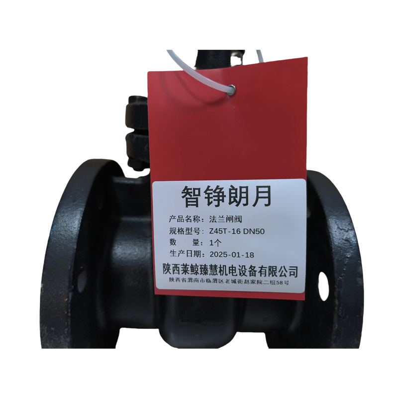 智铮朗月 法兰闸阀 Z45T-16 DN50 个高清大图