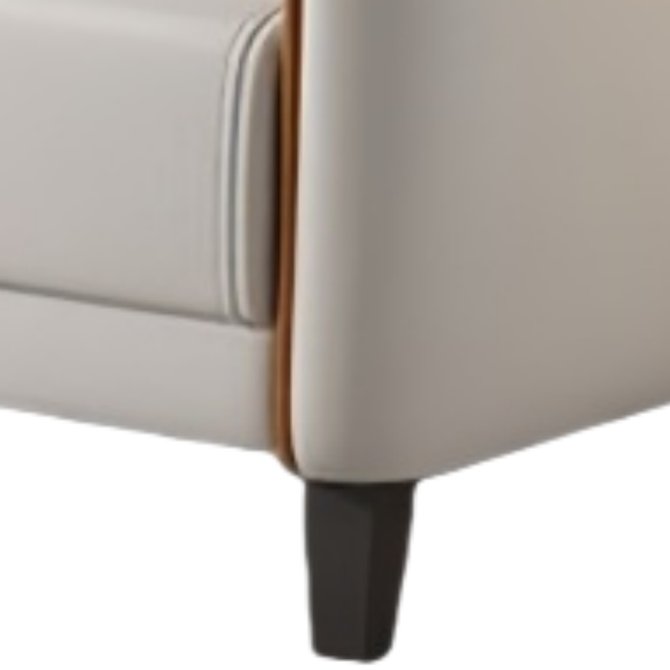 乐琪艺沙发科技布张高清大图