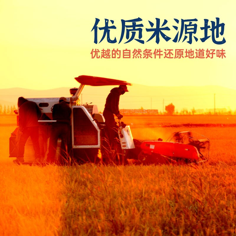 隆平农场 新米大米 东北小长粒 东北大米圆粒香米 珍珠米粳米十斤 东北小长粒10斤高清大图