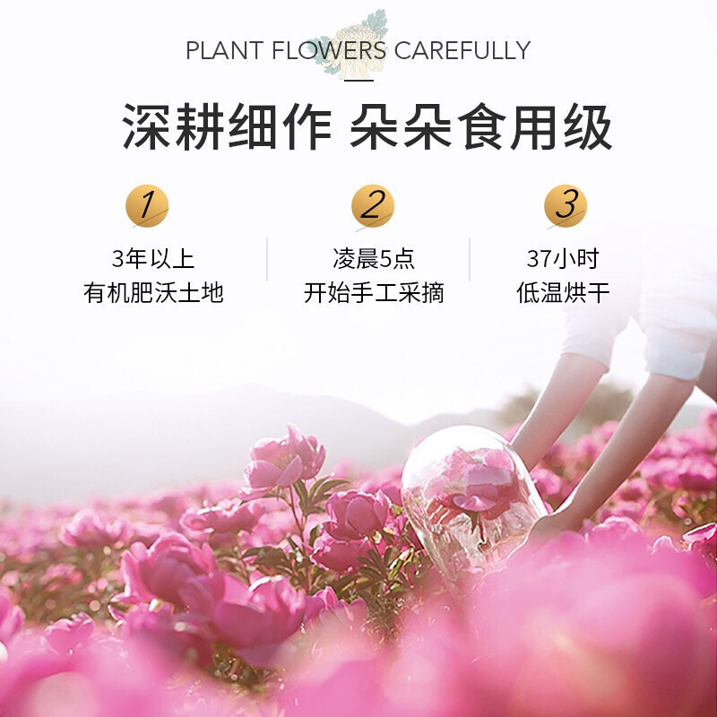 茶里(ChaLi)有机玫瑰花茶 花草茶低温烘干无硫熏制一朵一杯泡水喝的玫瑰花茶15朵/盒