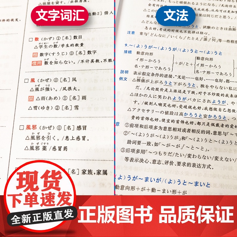 日语能力考试N1-N5文法+文字词汇详解 红蓝宝书大全集 白金版 日语入门N2N3N4一级二级语法单词华东理工 正版高清大图