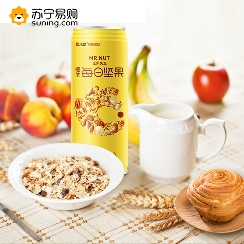 坚果饮料 饮品坚果先生坚果乳植物蛋白饮料240ml*12罐(新老包装) SZ