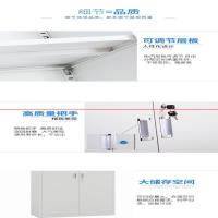 钢制办公柜 凭证柜 铁皮文件柜 多层资料柜 档案柜 文件柜