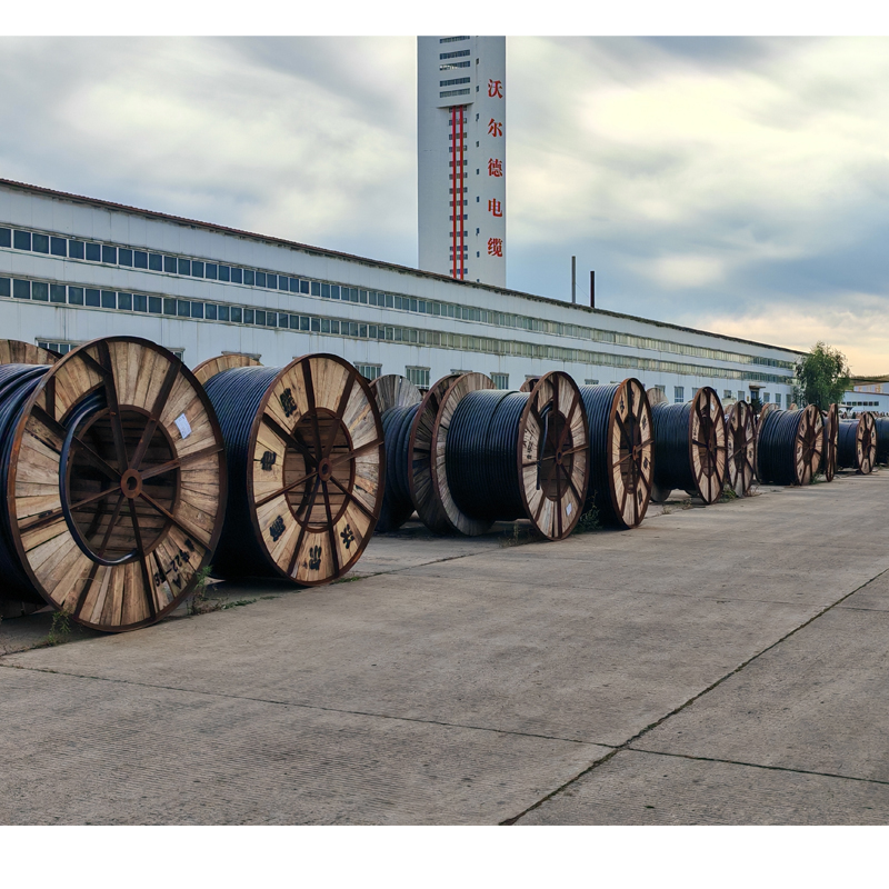 沃尔德电缆 电力电缆 HD-YJLV22 3*185+2*95高清大图