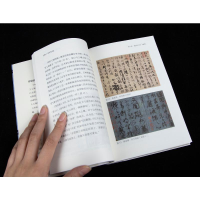 音像中国书法史徐建融