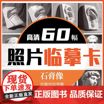 临摹卡石膏像照片 美术绘画写生参考素材图片美术培训教学60幅唯美文艺小清新精美卡片创意礼物原创作品学习卡片 一线美誉