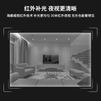 海康威视摄像头200万网络高清监控摄像头红外夜视30米监控设备监控器DS-IPC-T12H-I