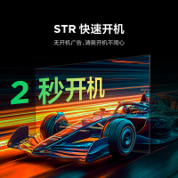 雷鸟雀4 25款43英寸4K 高清智能网络WiFi语音低蓝光认证液晶平板电视机43F195C