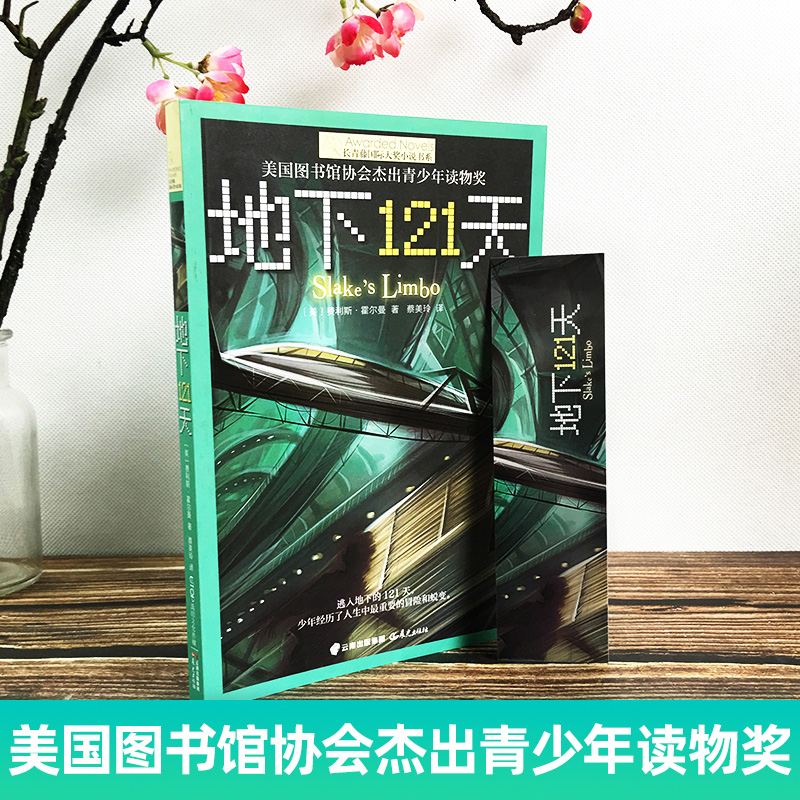 地下121天+时间博物馆+暗夜有星 [正版]地下121天书 长青藤国际大奖小说系列 霍尔曼儿童文学故事书9-12-15岁高清大图
