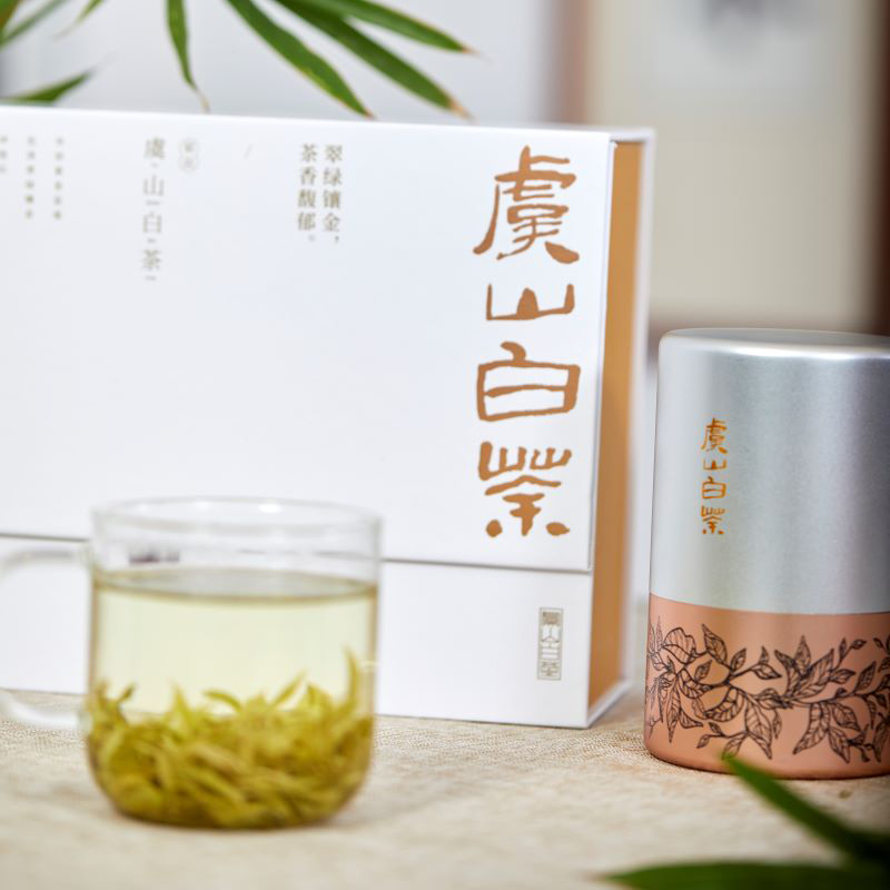 虞山绿茶 白茶雨前 铝罐100克礼盒包装