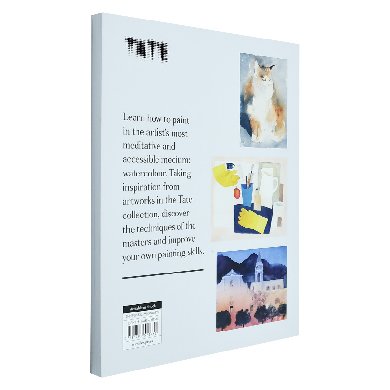[醉染正版]水彩画大师Master Watercolour 专业艺术绘画技巧 TATE美术馆 英文原版进口图书美术创作指高清大图