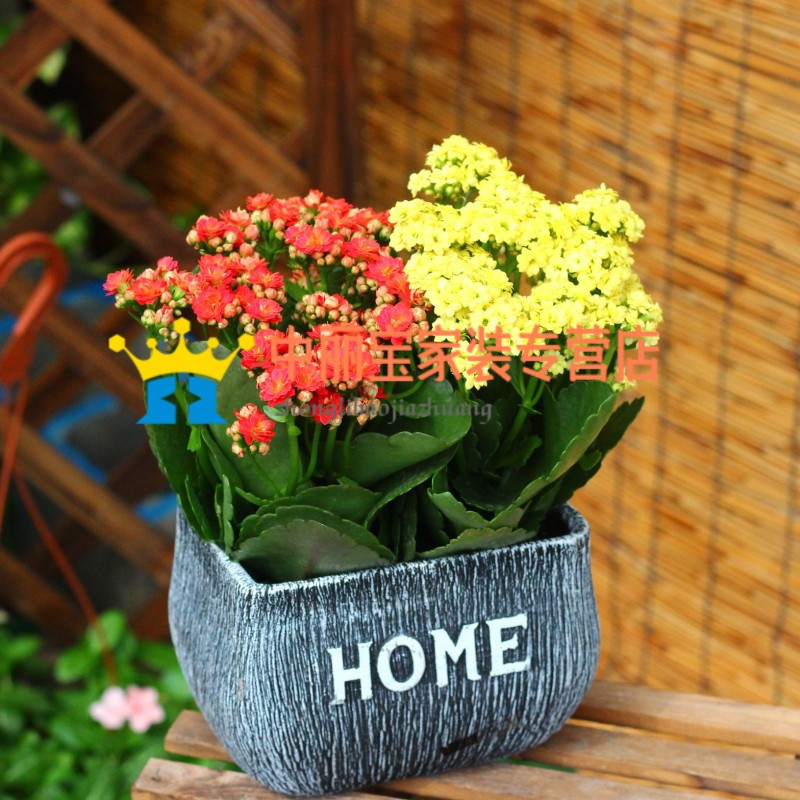 SbnkbopoDNU4YC0yL_SIwA==.jpg_800w_800h_4e