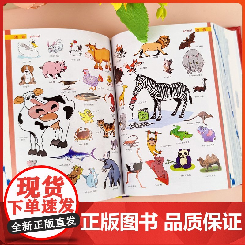 2025新版学生实用汉英双解大词典第五版刘锐诚编 初中生高中生英汉汉英互译词典大全工具书英语辞典大学四六级通用中国青年高清大图