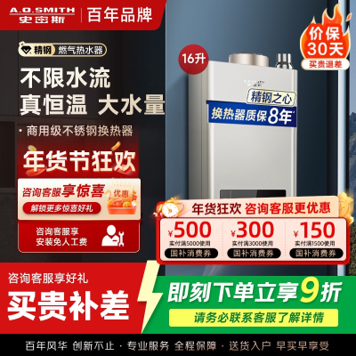 A.O.史密斯燃气热水器JSQ31-MN5