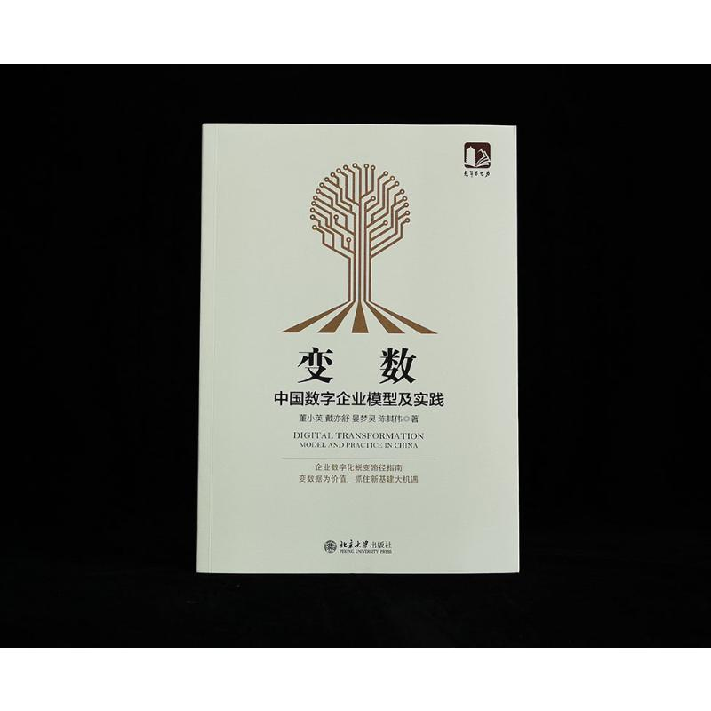 醉染图书变数 中国数字企业模型及实践9787301313718高清大图