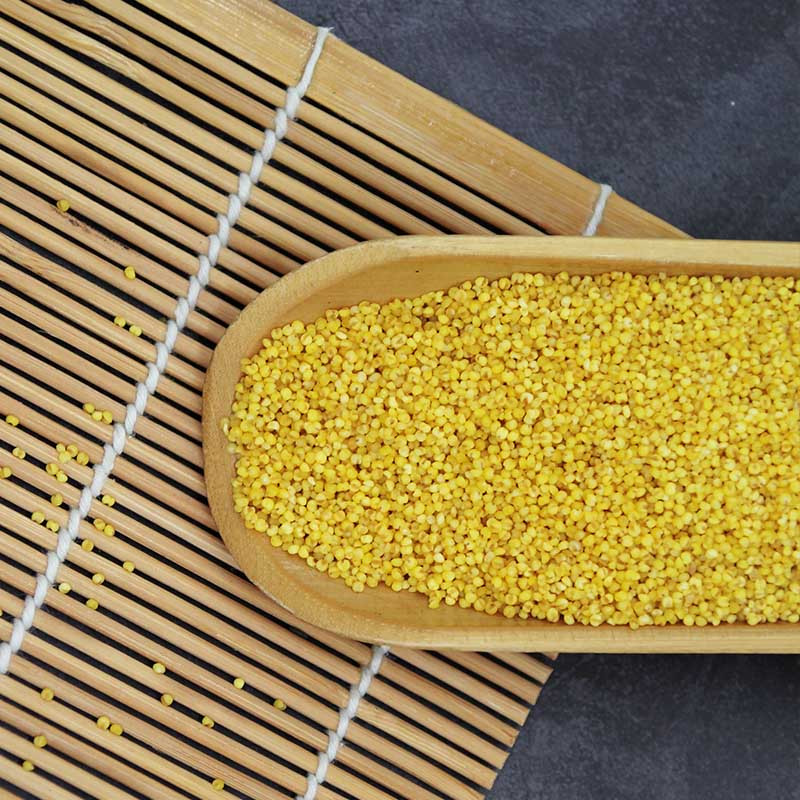 轩辕谷道油小米食用油脂小米500g/罐小米粥原料粟米1斤装农家杂粮熬粥小米