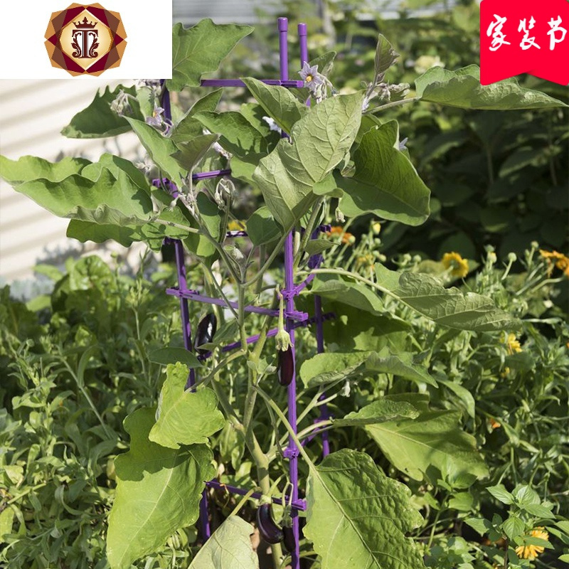 三维工匠瓜支架花架西红柿番茄攀爬支架爬藤植物支架茄子支柱园艺