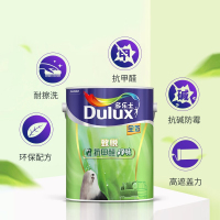 多乐士(Dulux)A742+A748 致悦竹炭抗甲醛净味全效 油漆涂料 内墙乳胶漆 墙面漆白色套装18L