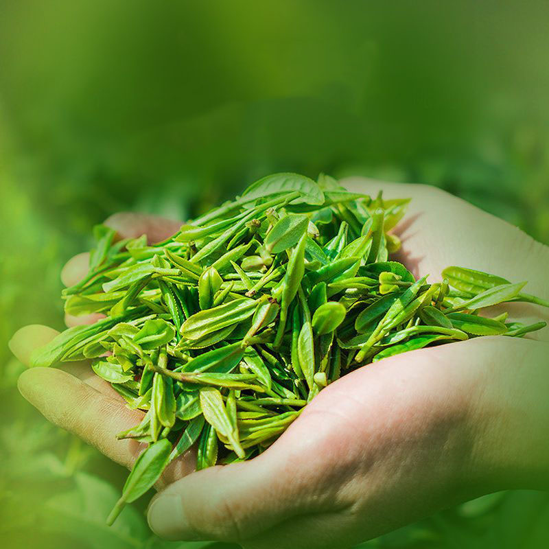 华祥苑(EMPEREUR) 明前正季绿茶碧螺春罐装 125g高清大图