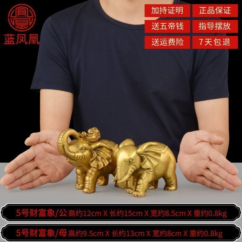 纯铜大象摆件风水象一对吸水象客厅装饰品镇宅旺事业大号 5号财富象一对_971
