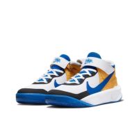 NIKE耐克TEAM HUSTLE D 10 FLYEASE 青少年篮球鞋DZ2760-141 D DZ2760-141 37.5