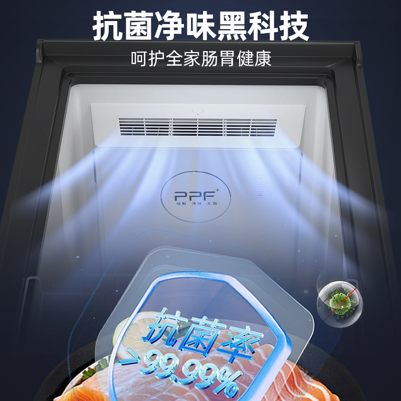 星星(XINGX)家用商用大容量风冷无霜一级能效节能冰柜单温冷藏冷冻转换柜超市便利店雪糕柜BD/BC-170WKE